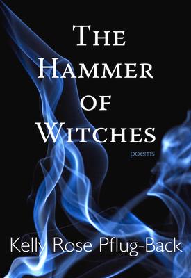 Vorderes Coverbild The Hammer of Witches