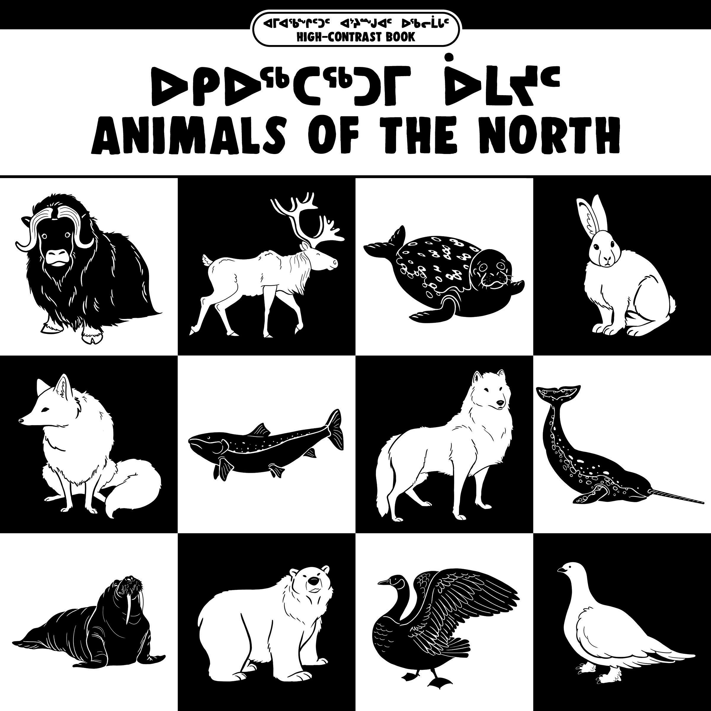 Vorderes Coverbild Animals of the North