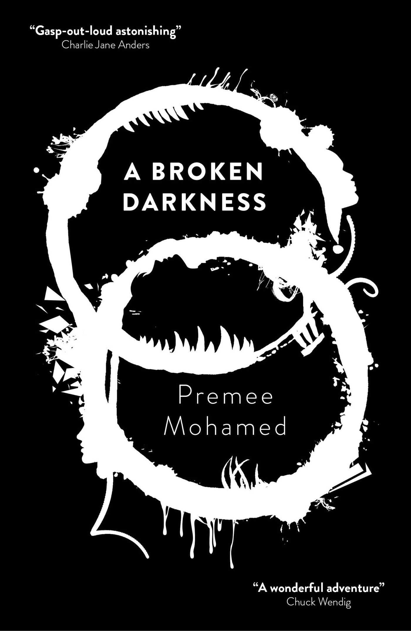 Vorderes Coverbild A Broken Darkness