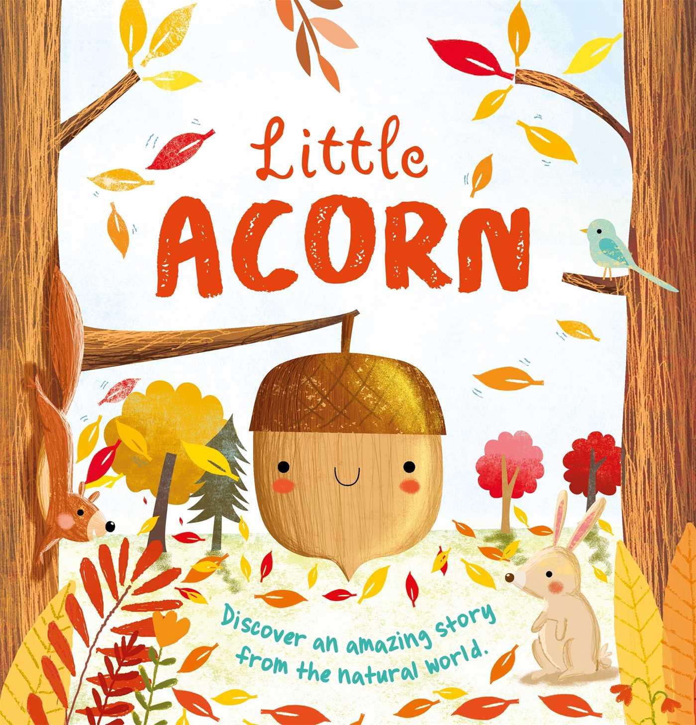 Vorderes Coverbild Nature Stories: Little Acorn