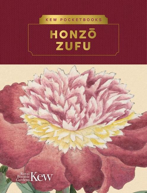 Vorderes Coverbild Kew Pocketbooks: Honzo Zufu