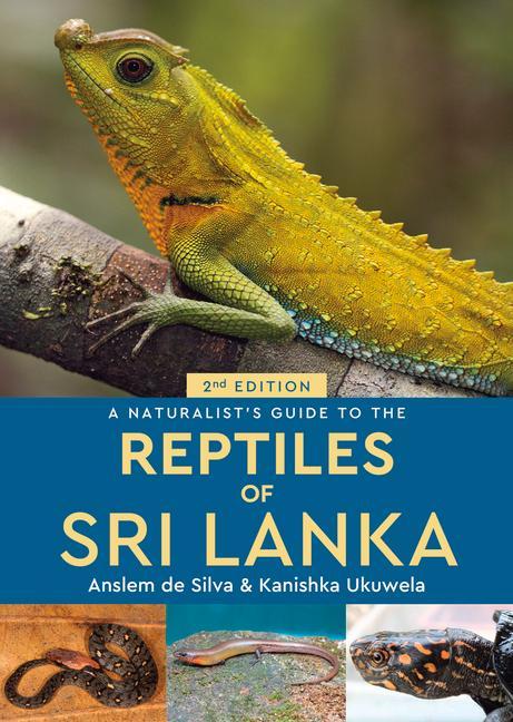 Vorderes Coverbild A Naturalist's Guide to the Reptiles of Sri Lanka