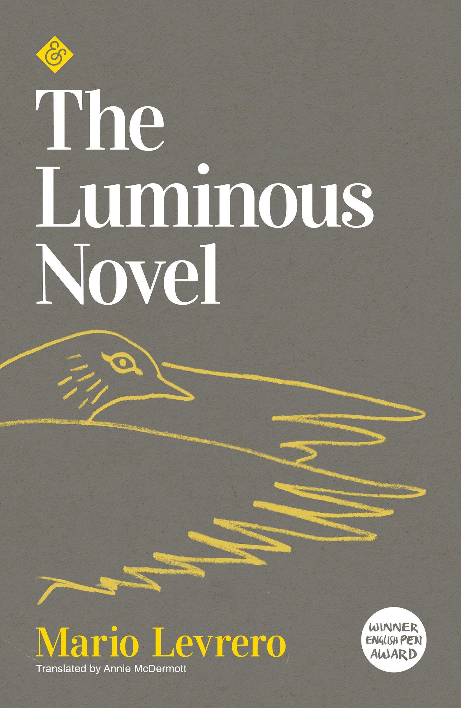 Vorderes Coverbild Luminous Novel