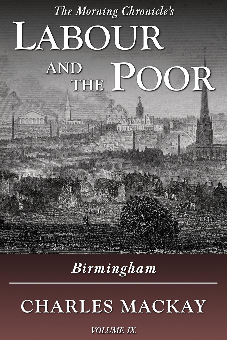 Vorderes Coverbild Labour and the Poor Volume IX