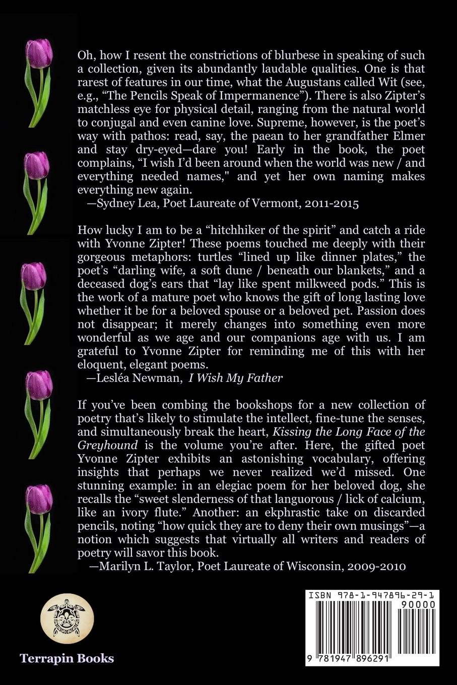 Rückseitencover Kissing the Long Face of the Greyhound