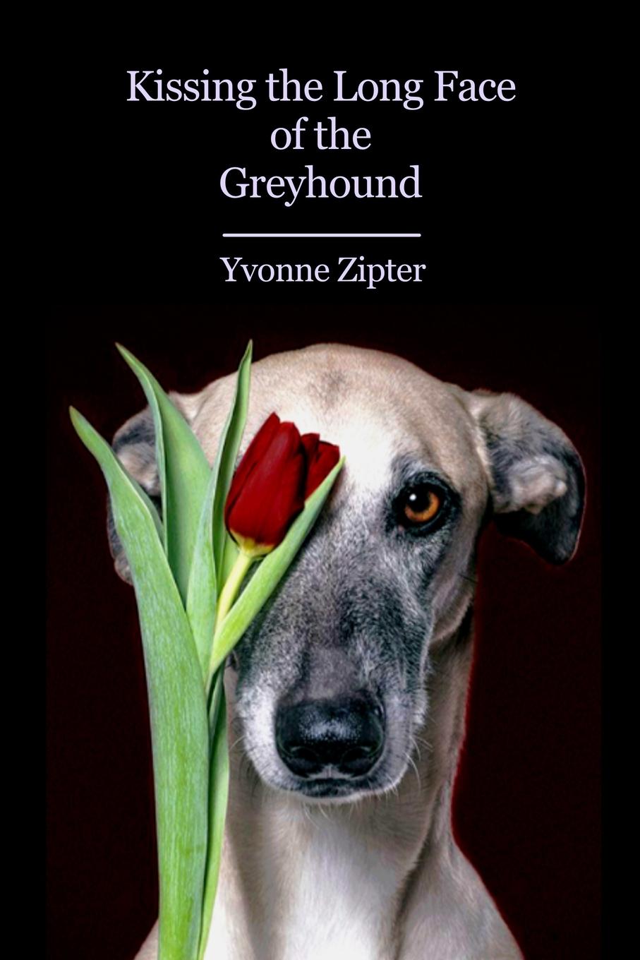 Vorderes Coverbild Kissing the Long Face of the Greyhound