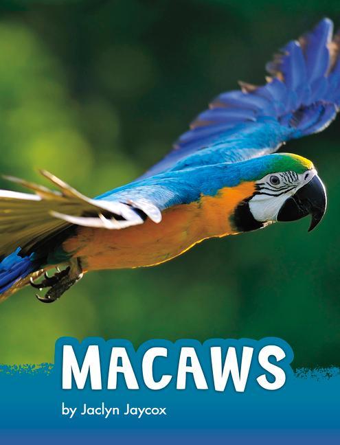 Vorderes Coverbild Macaws