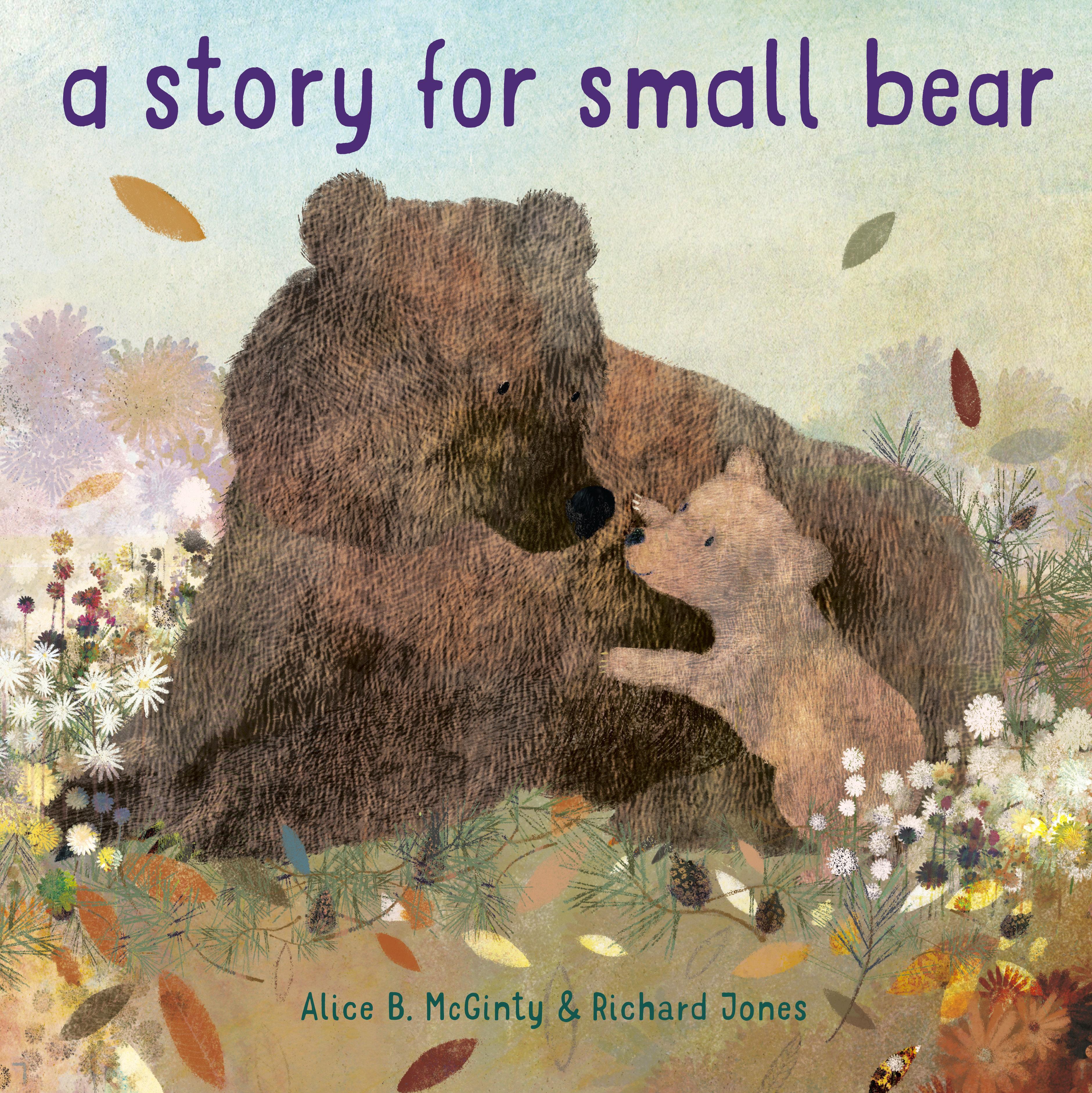 Vorderes Coverbild A Story for Small Bear