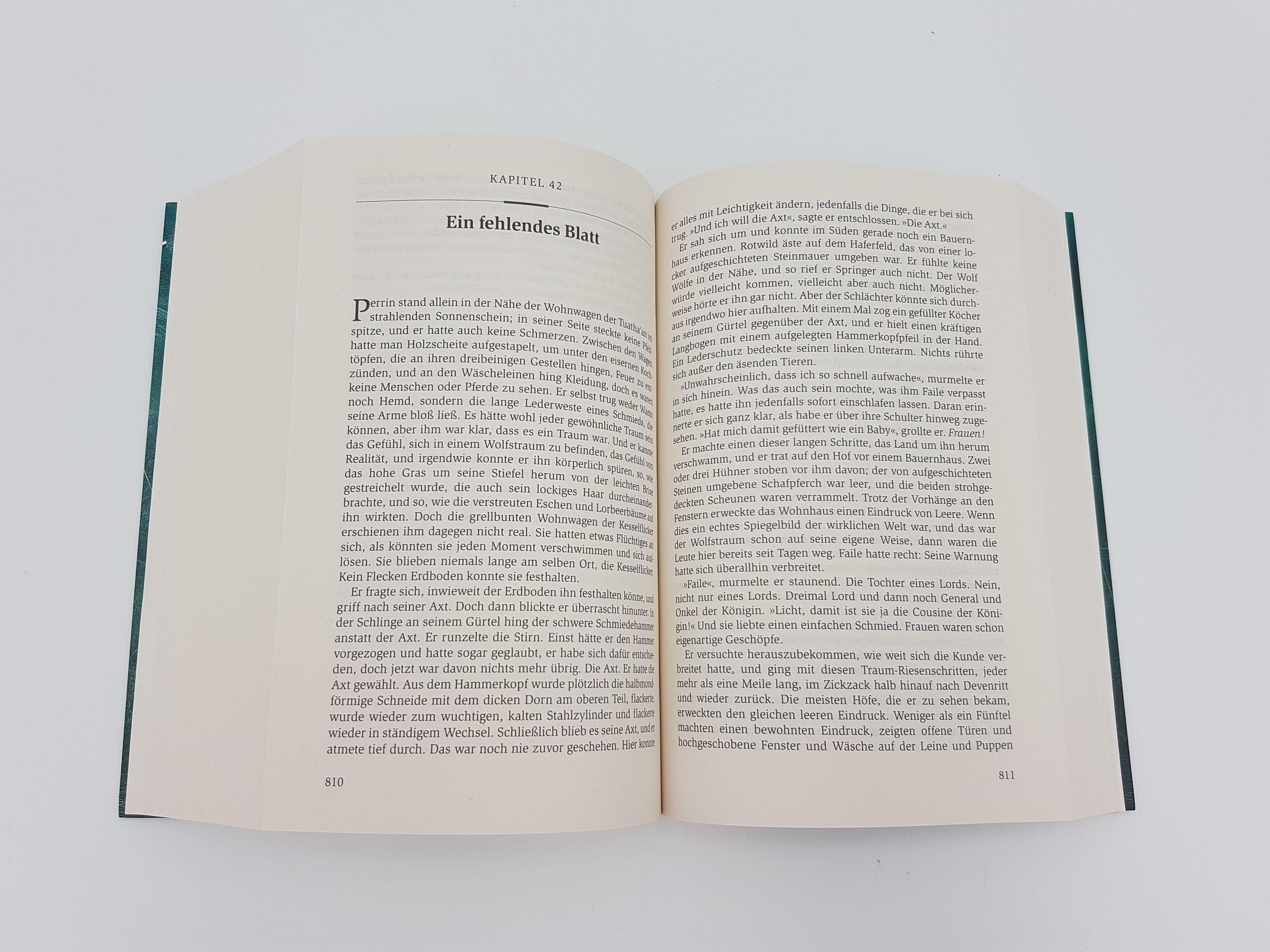 Beispielinhalt (Bild) Das Rad der Zeit 4