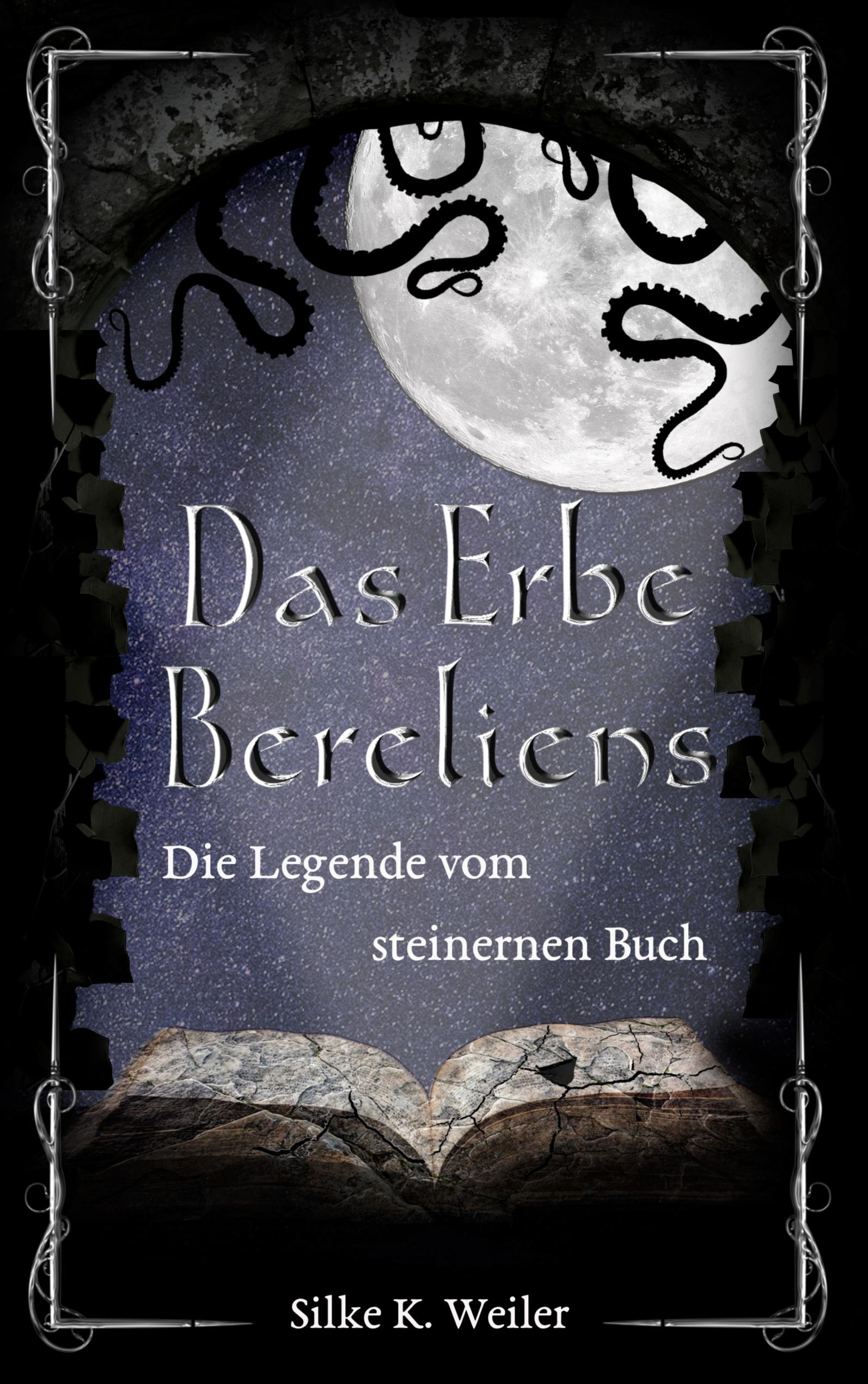 Vorderes Coverbild Das Erbe Bereliens