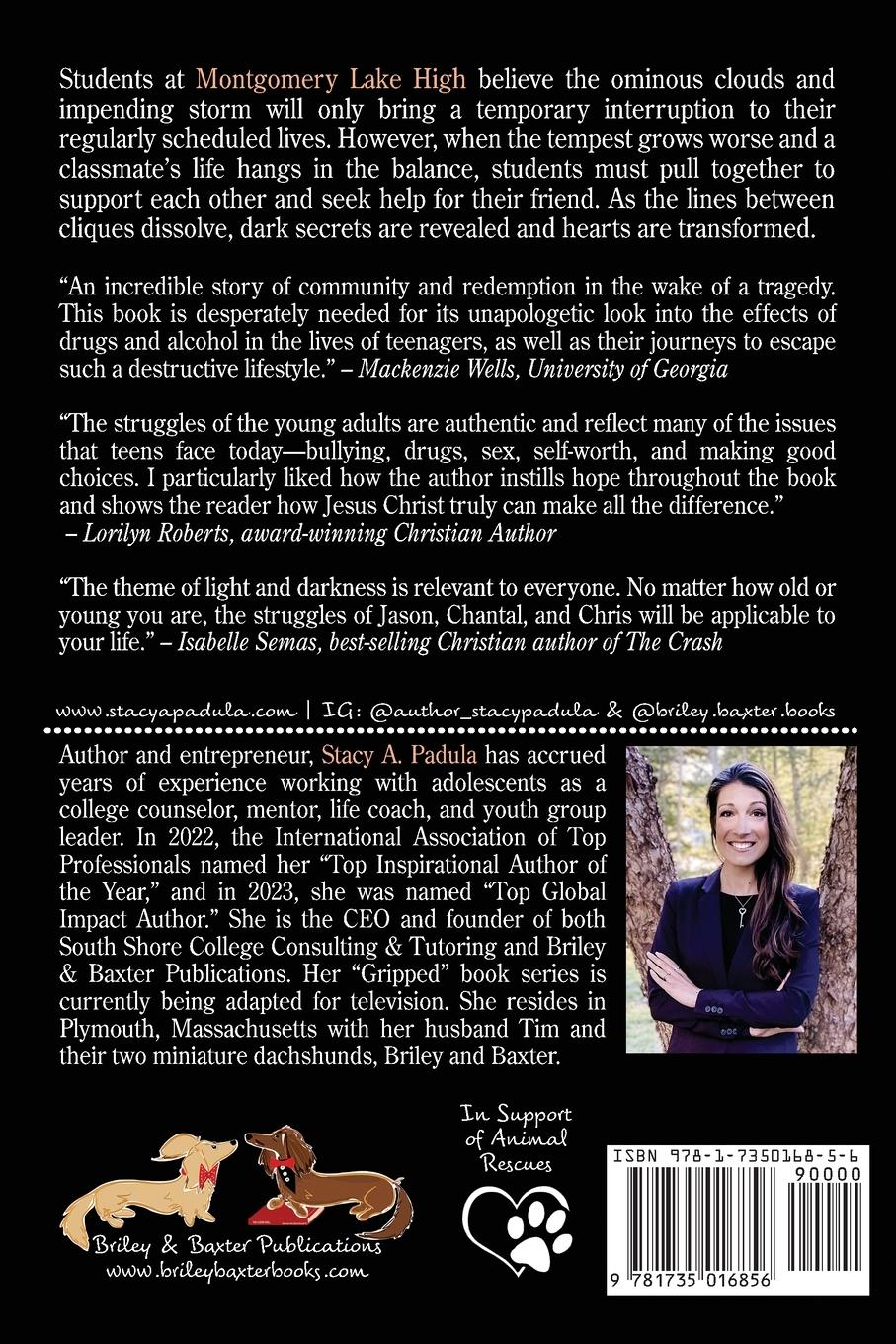 Rückseitencover When Darkness Tries to Hide