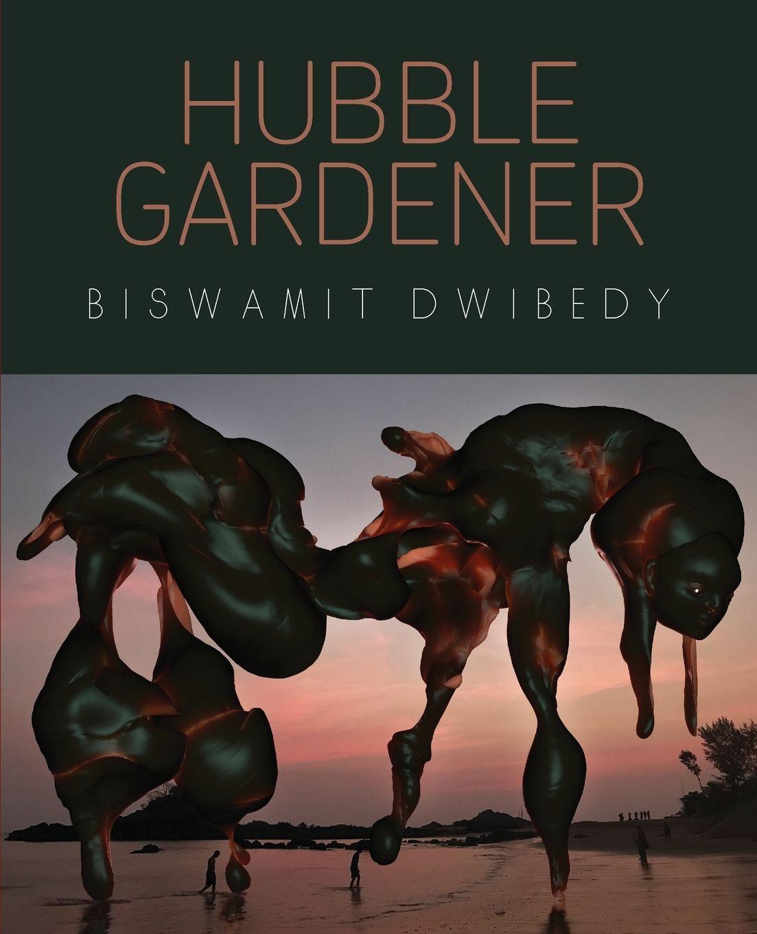 Vorderes Coverbild Hubble Gardener