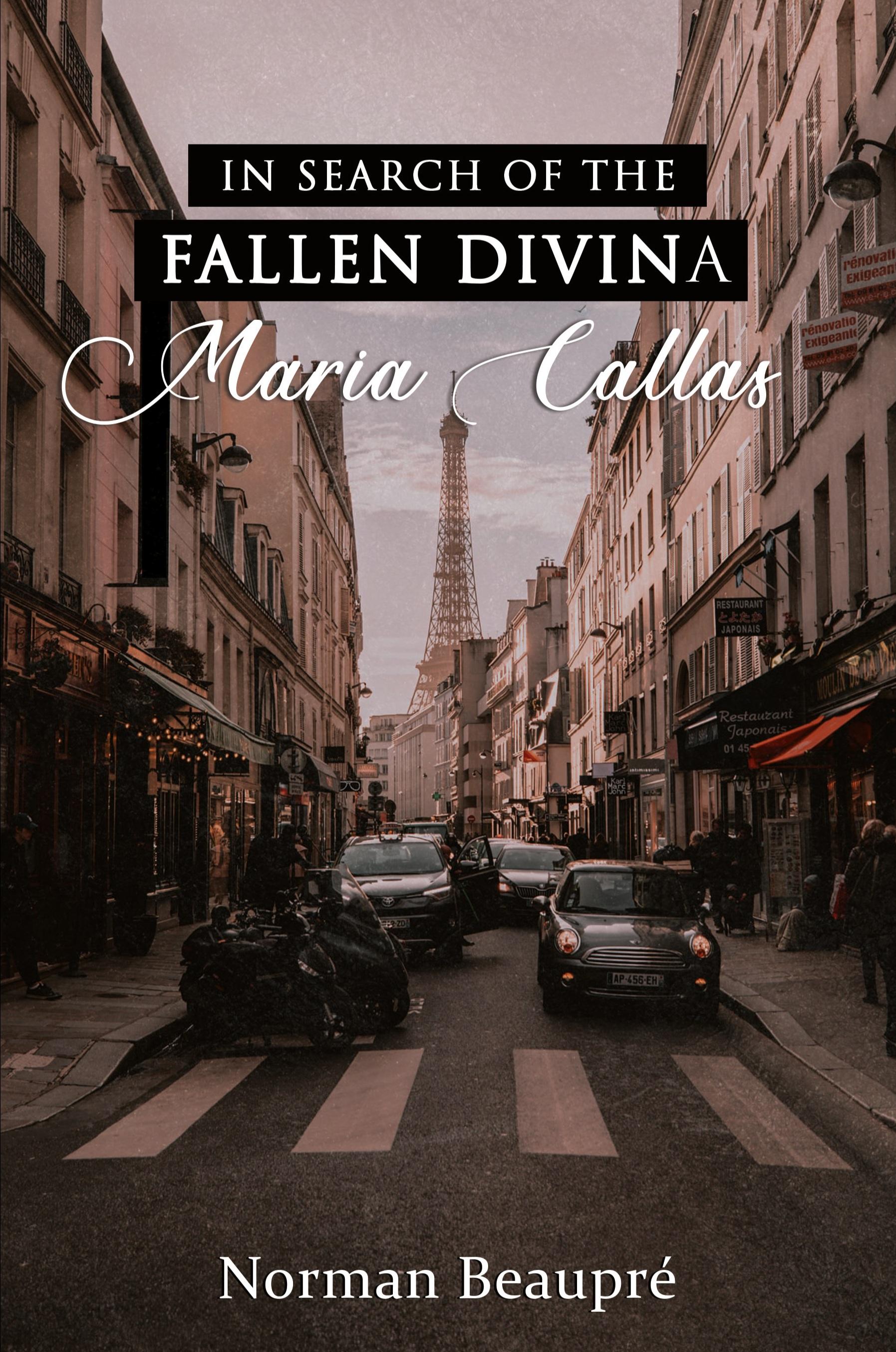 Vorderes Coverbild In Search of the Fallen Divina Maria Callas