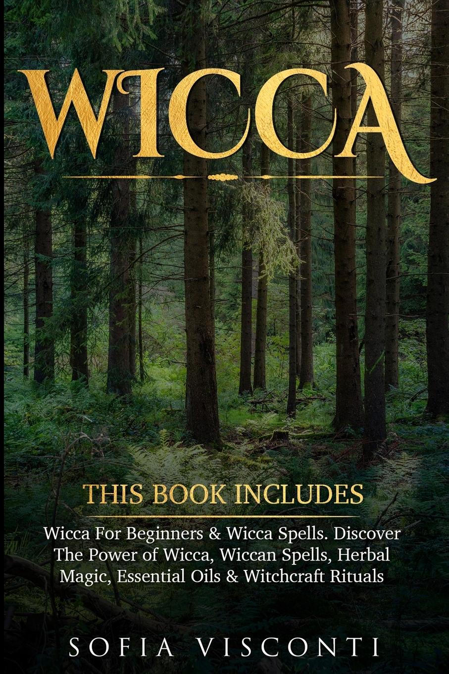 Vorderes Coverbild Wicca