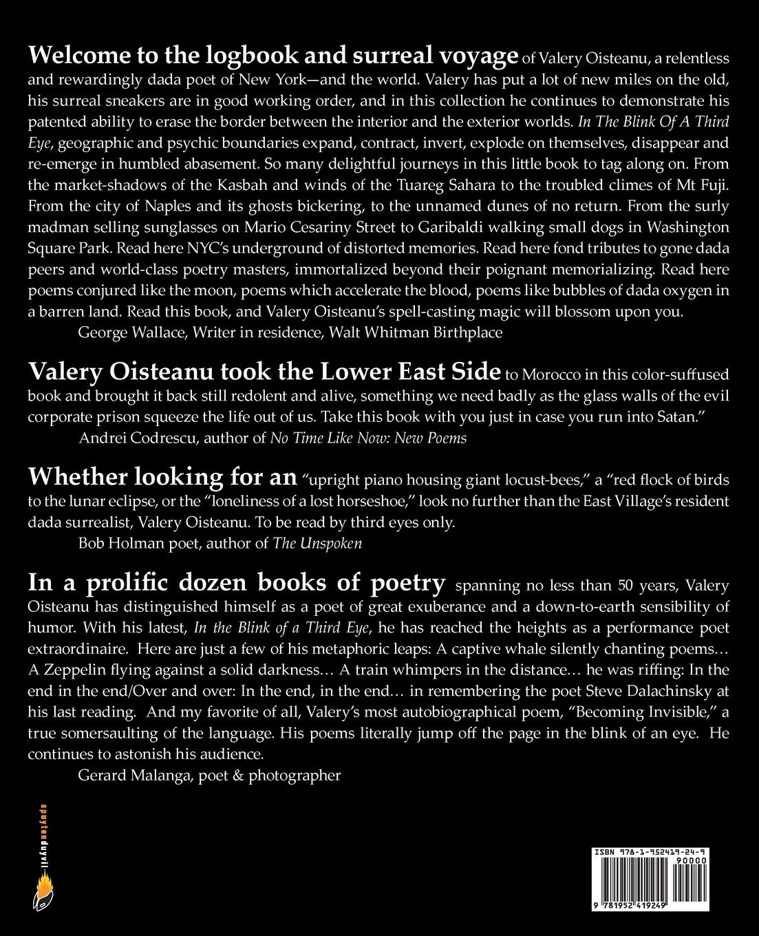 Rückseitencover In The Blink of A Third Eye