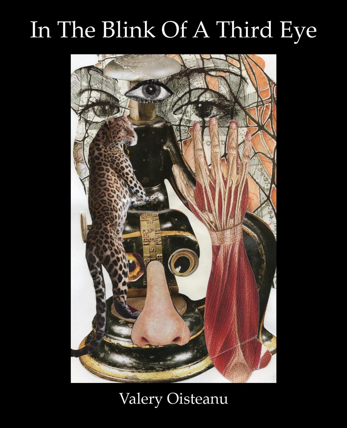 Vorderes Coverbild In The Blink of A Third Eye