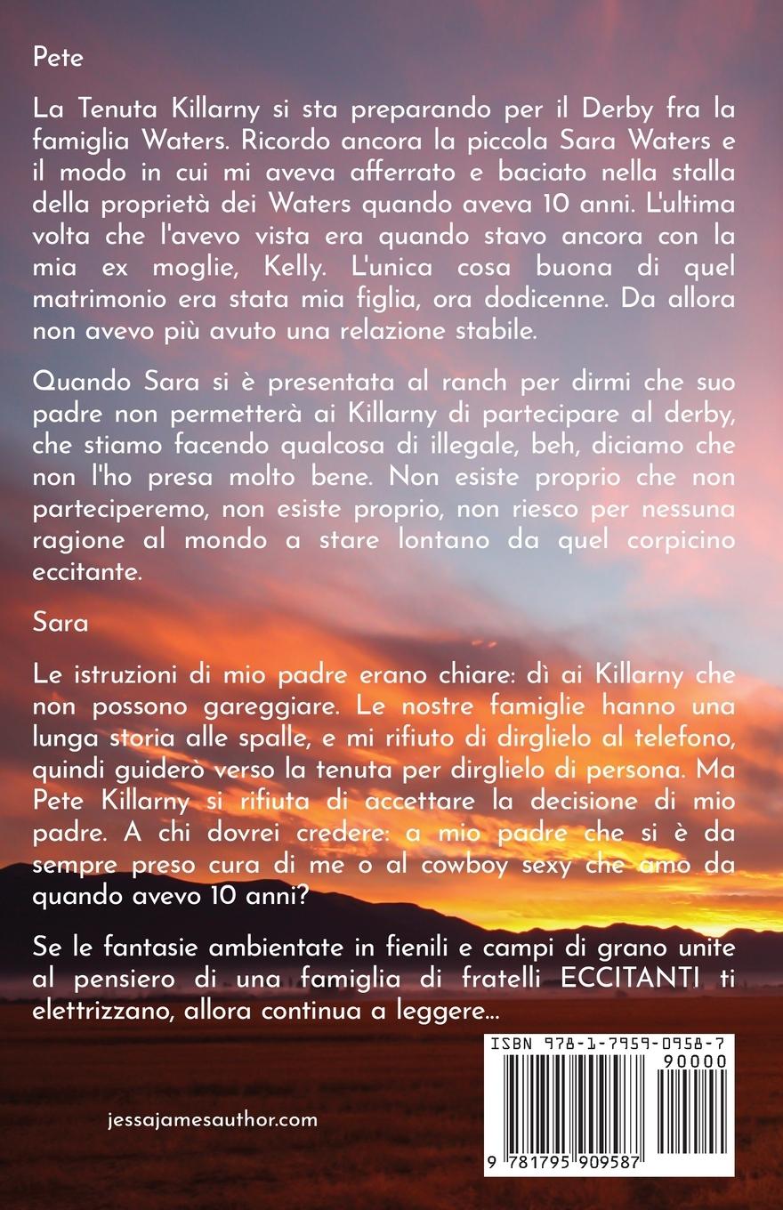 Rückseitencover Come amare un cowboy