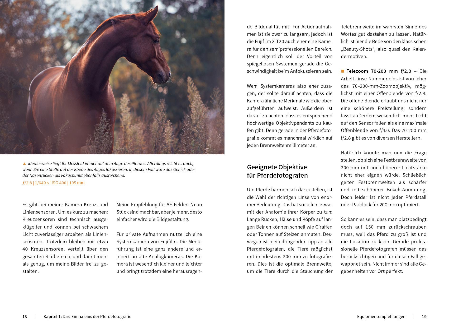 Beispielinhalt (Bild) Pferde stilvoll fotografieren