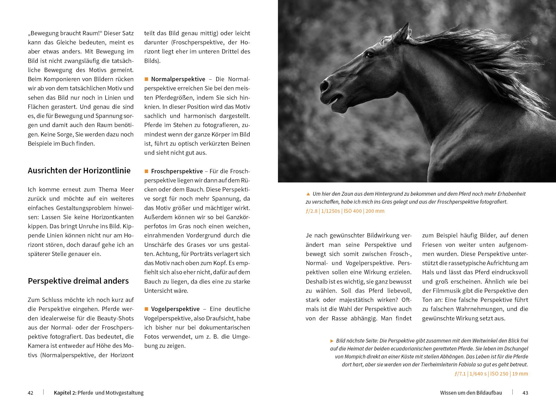 Beispielinhalt (Bild) Pferde stilvoll fotografieren