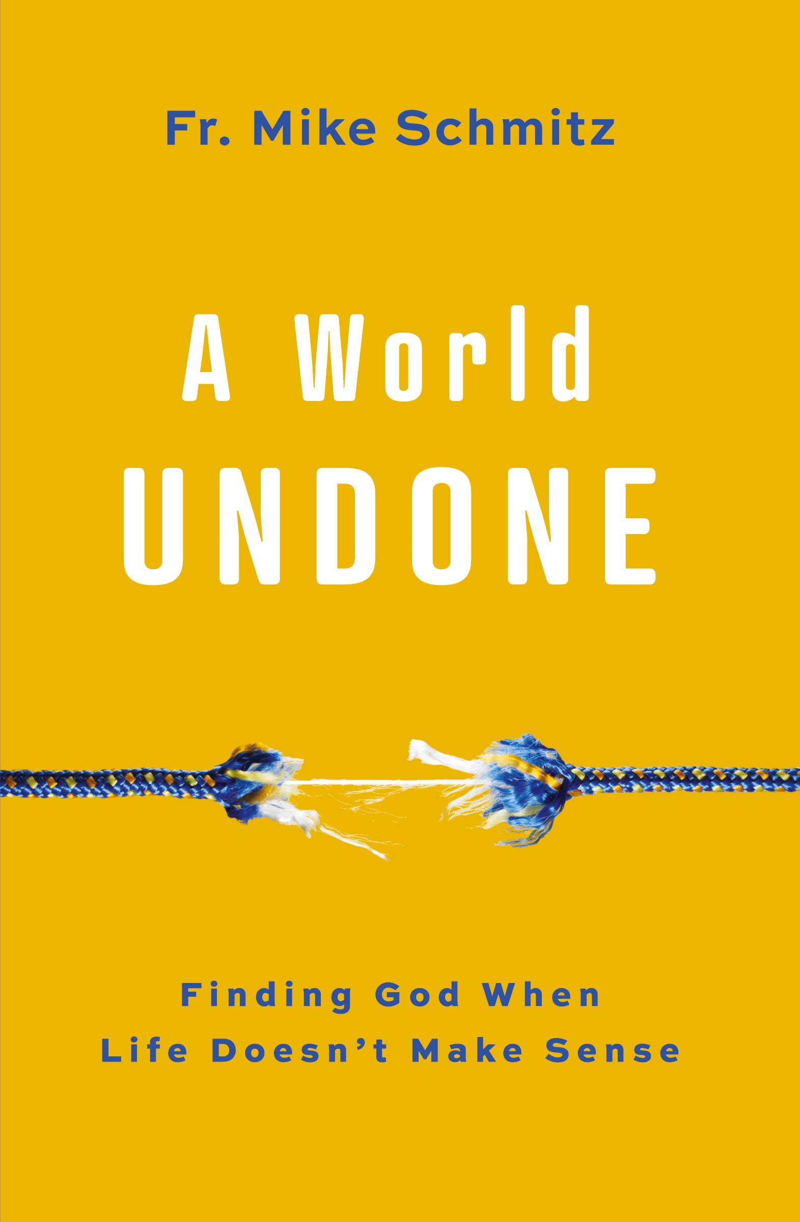 Vorderes Coverbild World Undone