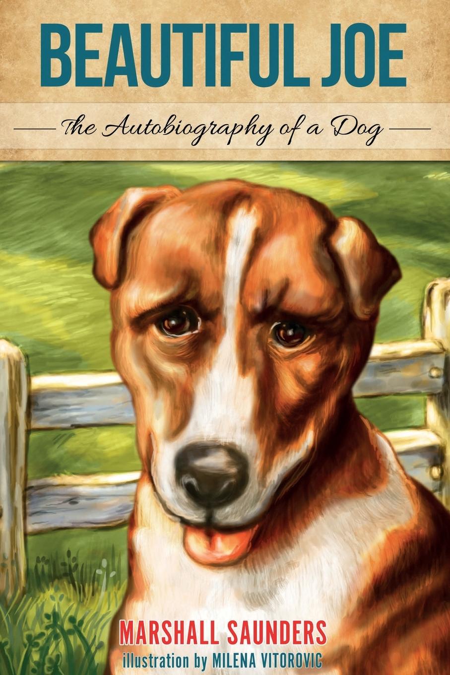 Vorderes Coverbild Beautiful Joe