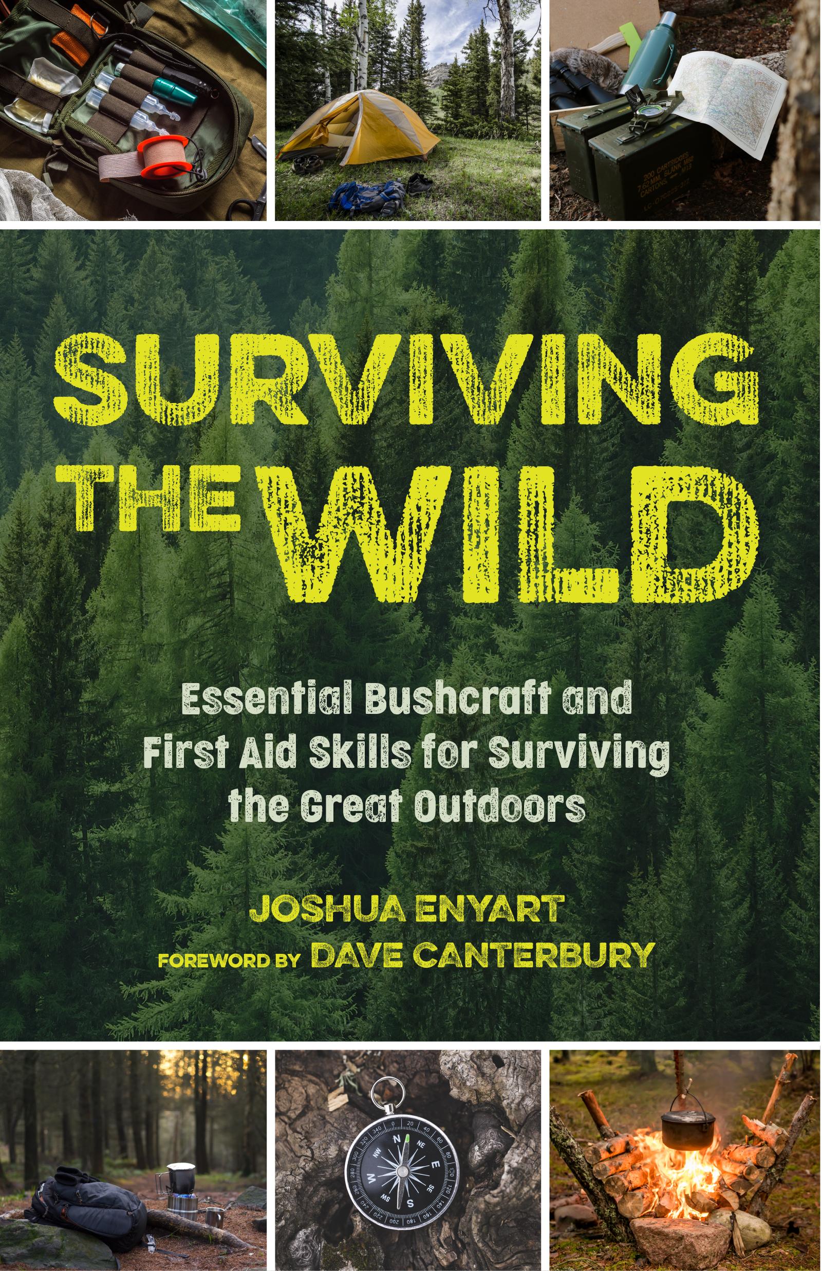 Beispielinhalt (Bild) Surviving the Wild