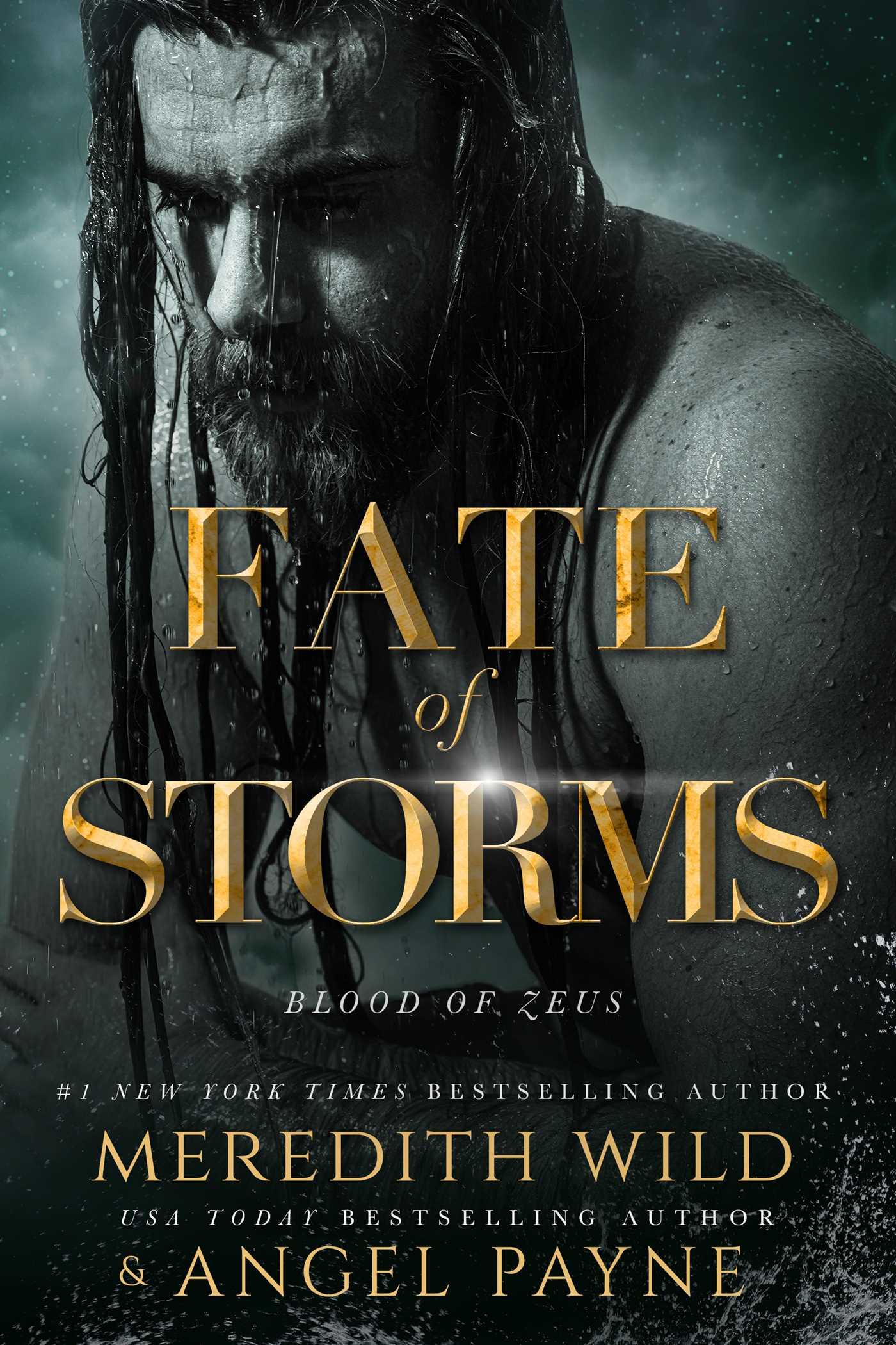 Vorderes Coverbild Fate of Storms