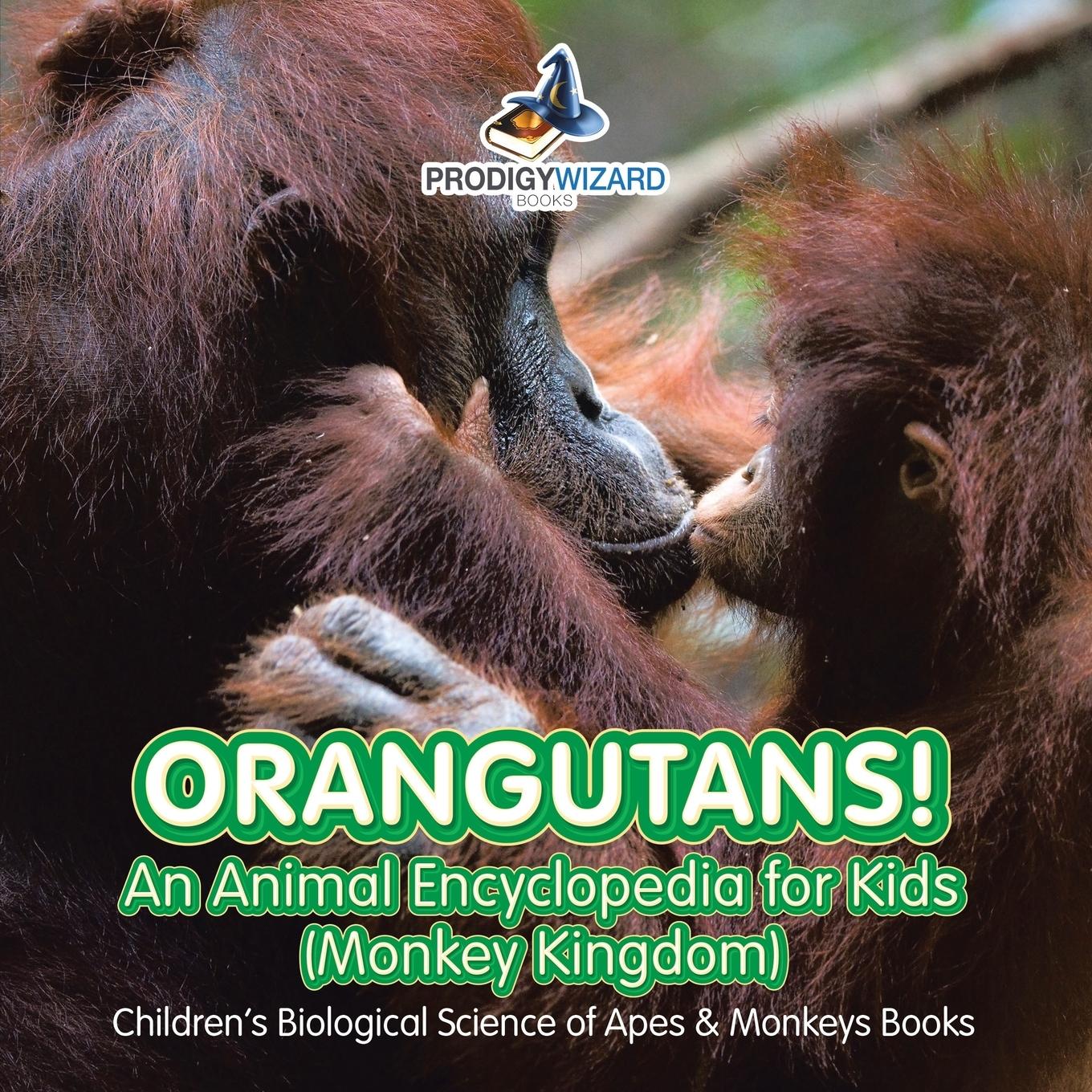 Vorderes Coverbild Orangutans! An Animal Encyclopedia for Kids (Monkey Kingdom) - Children's Biological Science of Apes & Monkeys Books