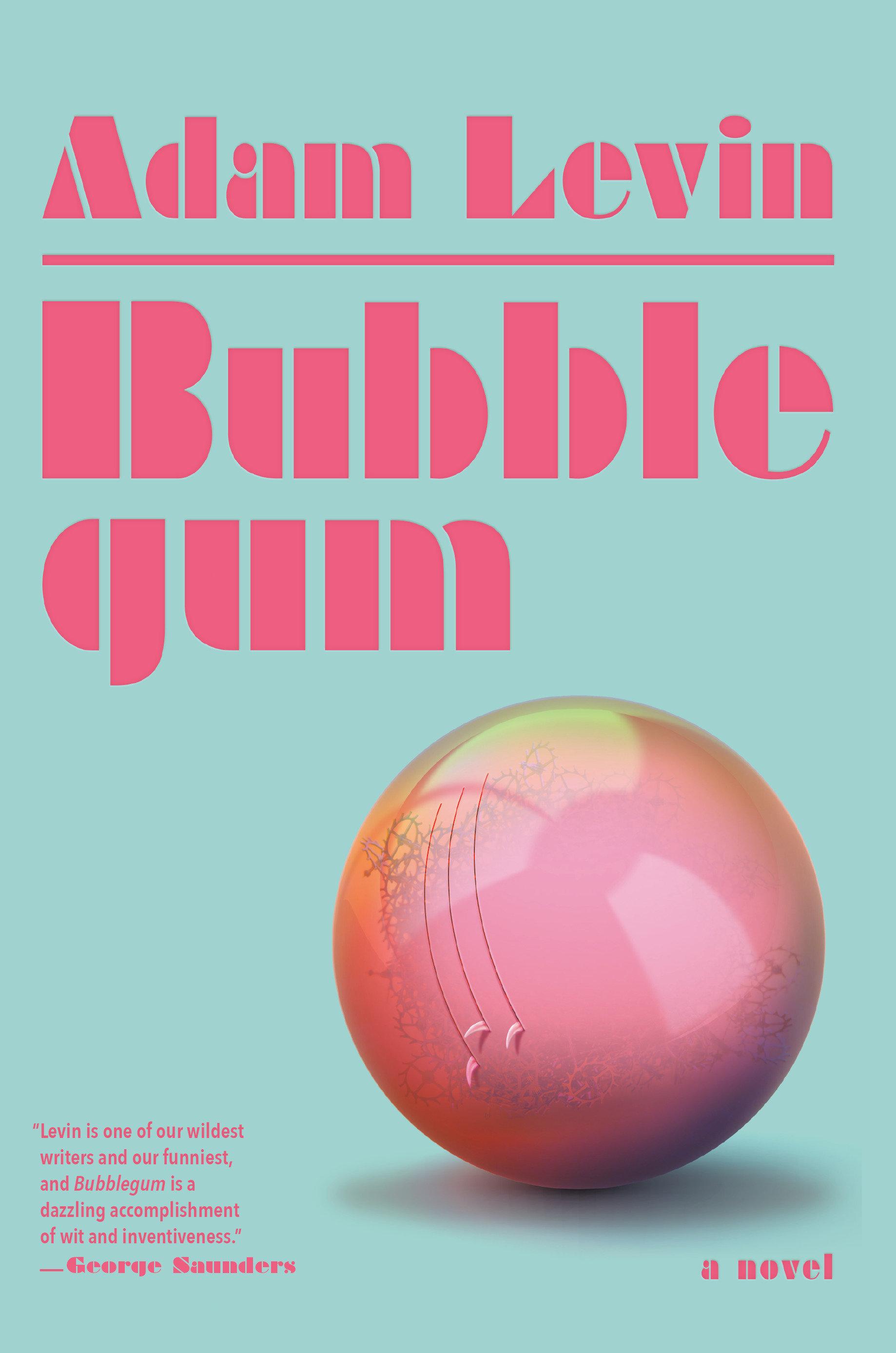 Vorderes Coverbild Bubblegum