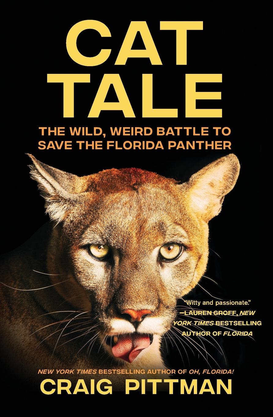 Vorderes Coverbild Cat Tale