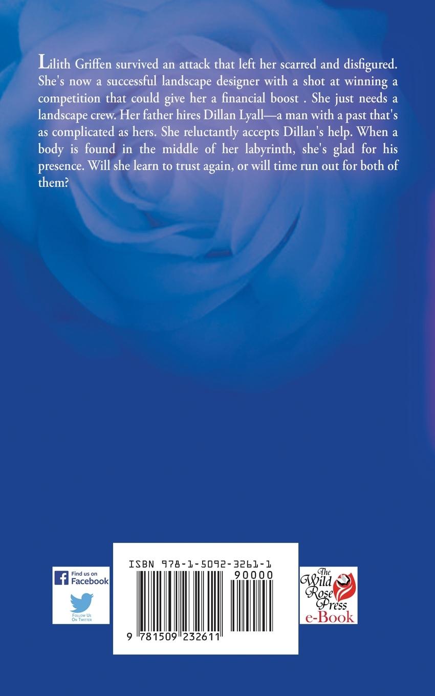 Rückseitencover Mazed