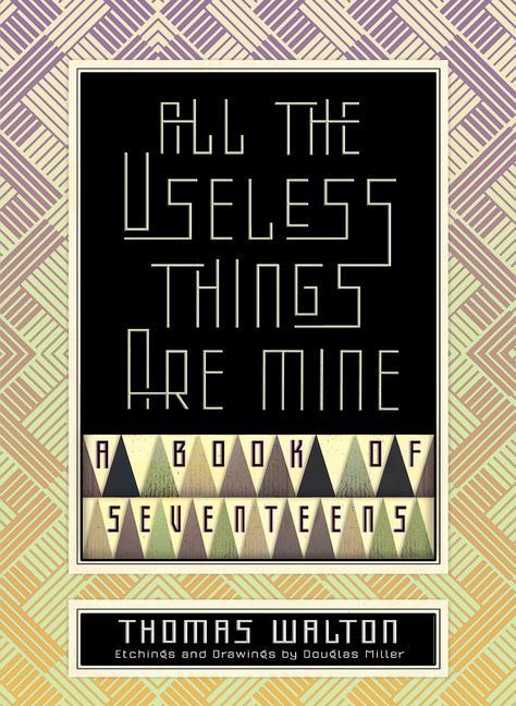 Vorderes Coverbild All the Useless Things Are Mine: A Book of Seventeens