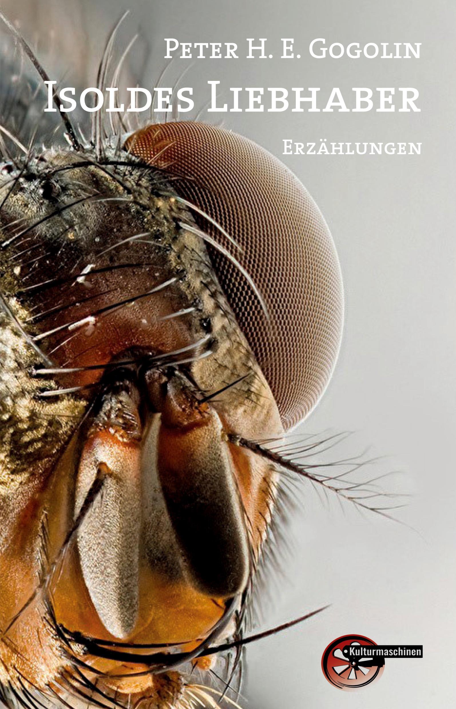 Vorderes Coverbild Isoldes Liebhaber