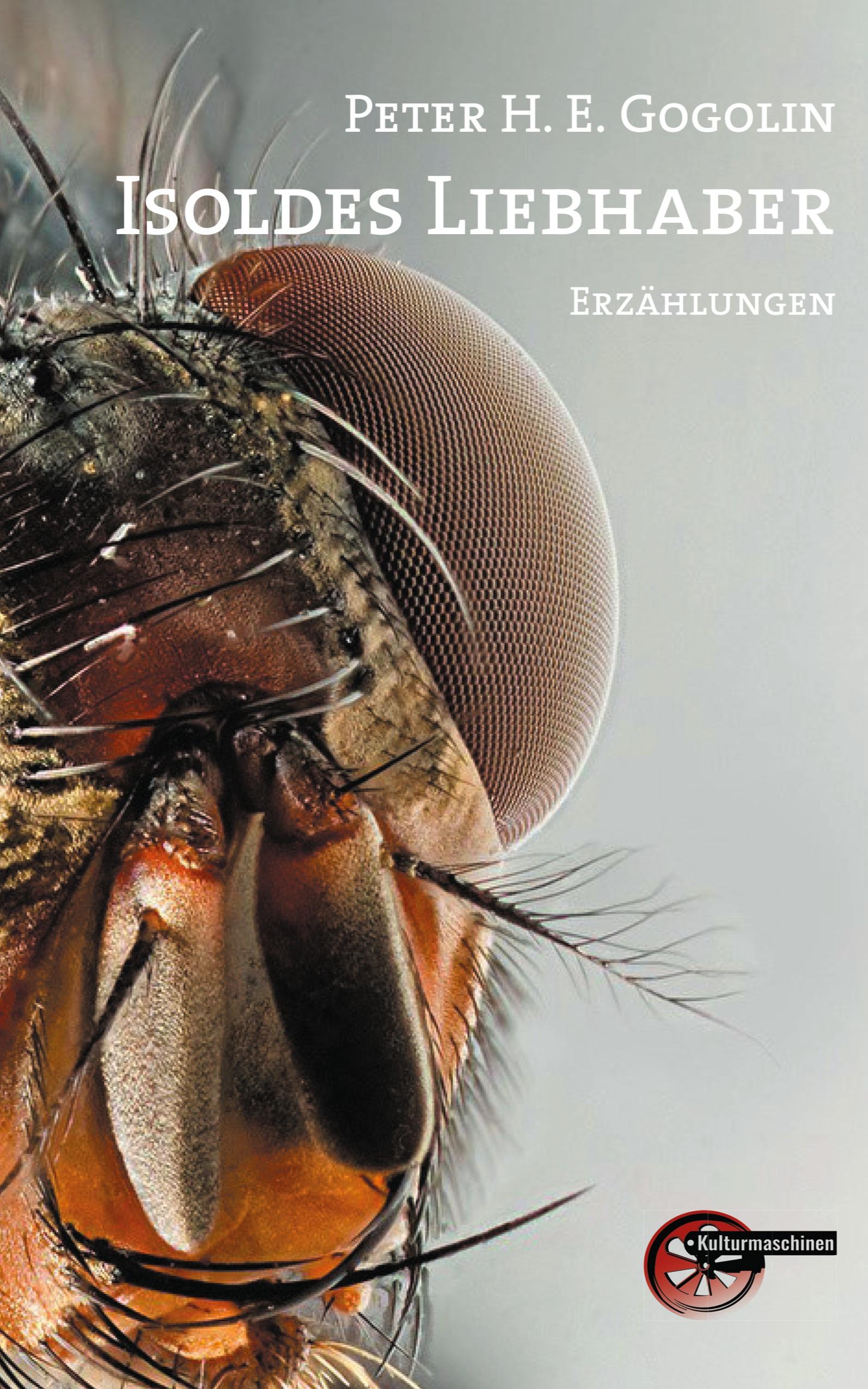 Vorderes Coverbild Isoldes Liebhaber