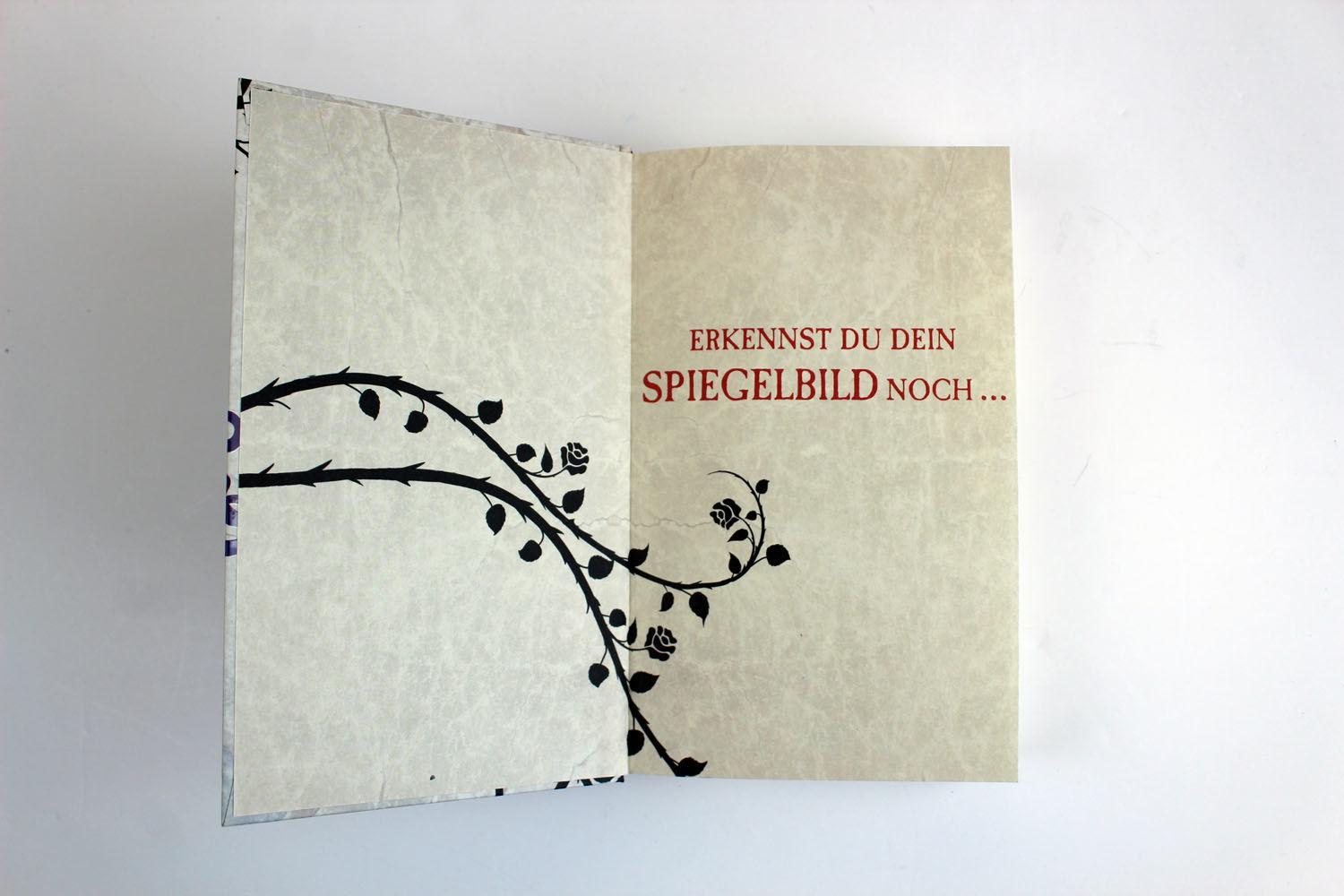 Beispielinhalt (Bild) Die Chroniken von Alice - Dunkelheit im Spiegelland