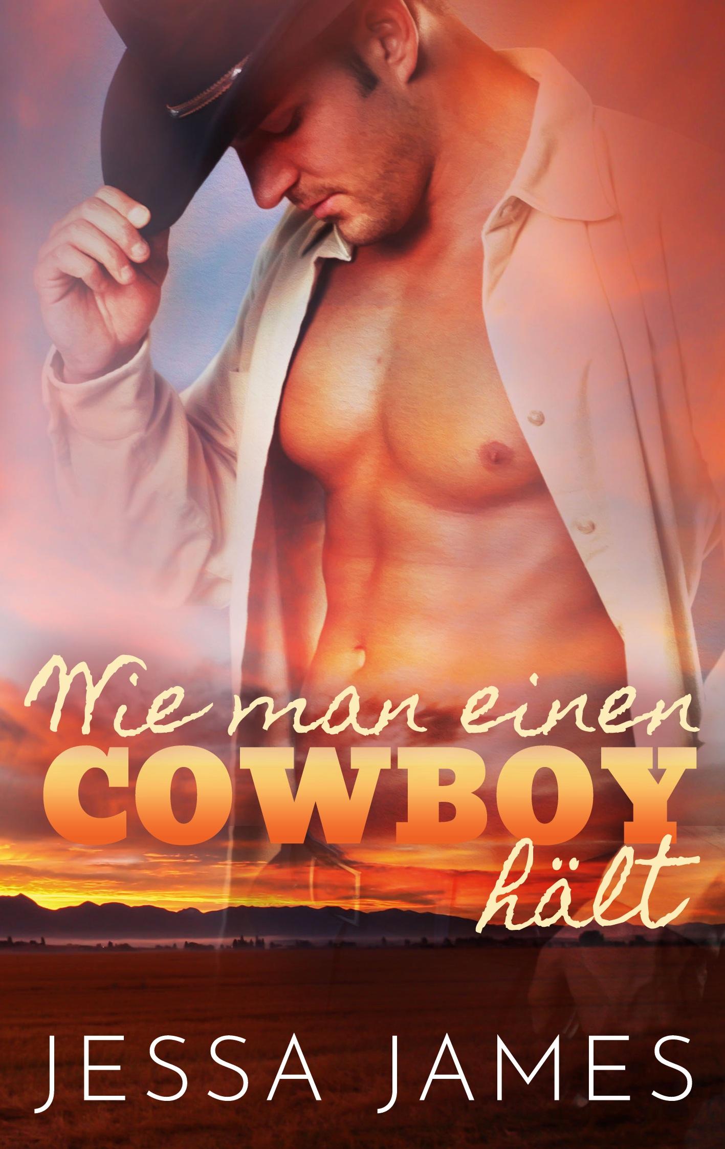 Vorderes Coverbild Wie man einen Cowboy hält