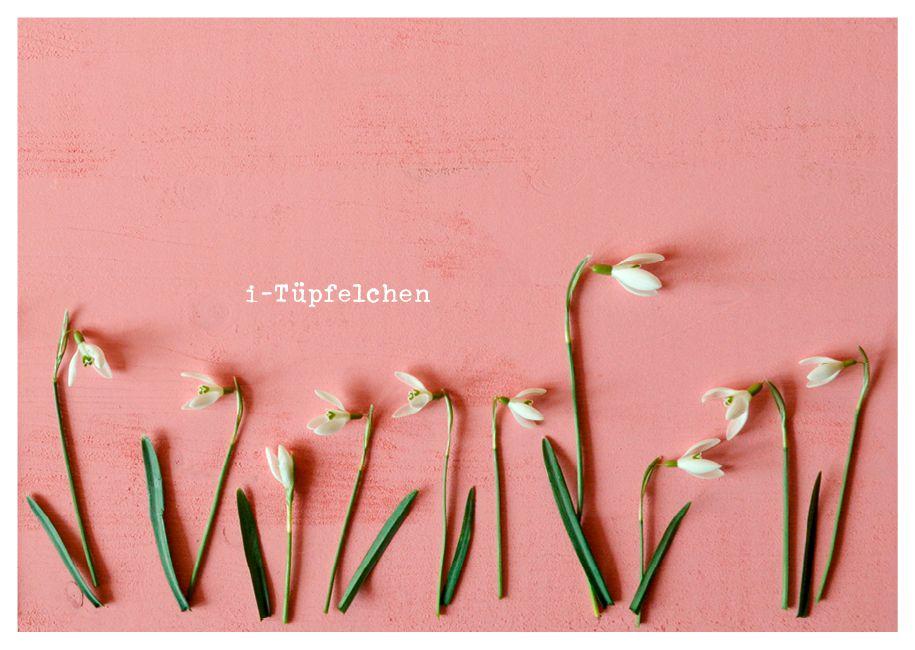 Beispielinhalt (Bild) für dich - Postkartenbuch