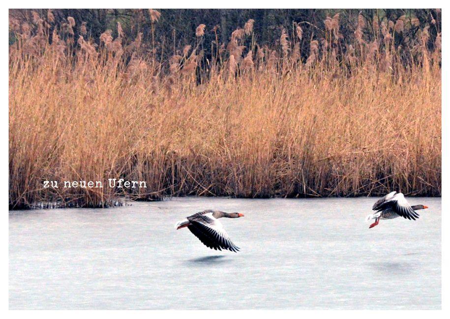Beispielinhalt (Bild) für dich - Postkartenbuch