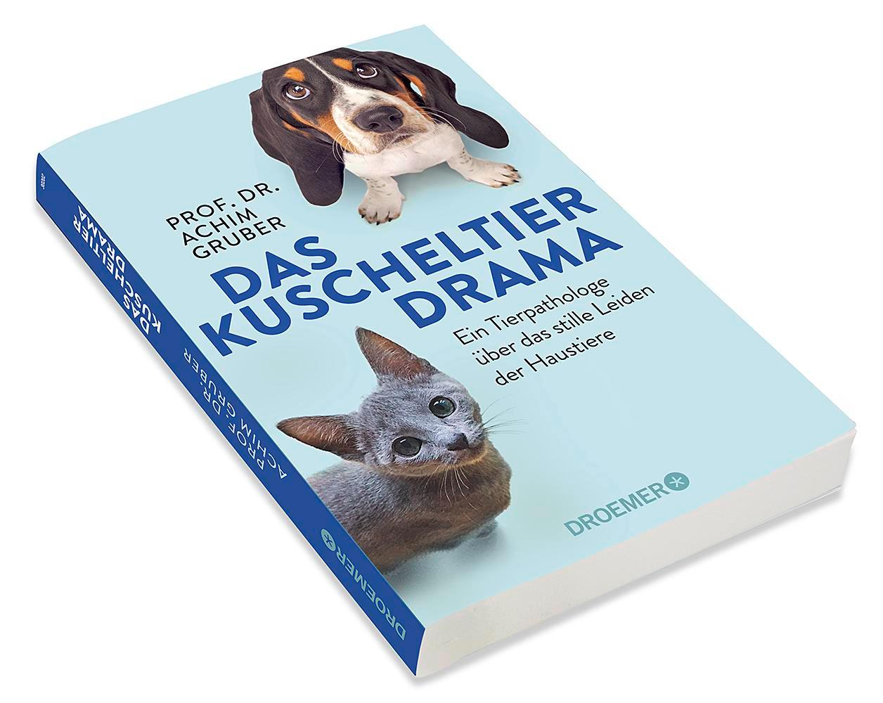 Beispielinhalt (Bild) Das Kuscheltierdrama