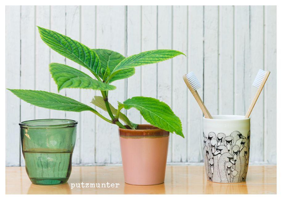 Beispielinhalt (Bild) feste feiern - Postkartenbuch