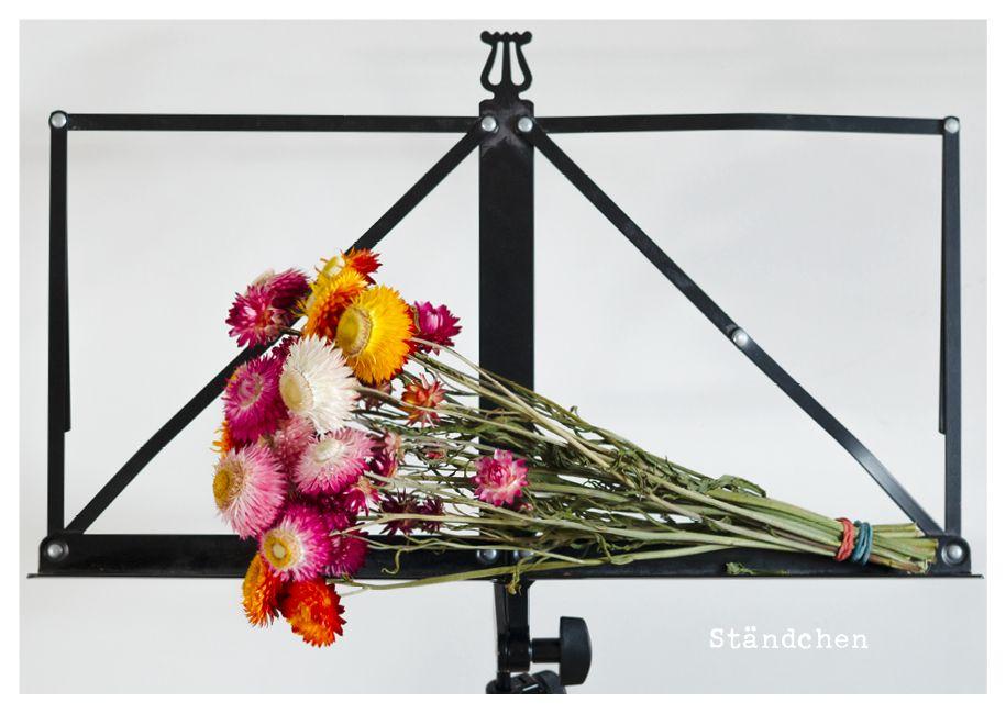 Beispielinhalt (Bild) feste feiern - Postkartenbuch