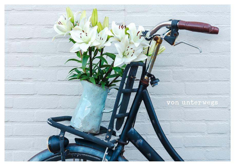 Beispielinhalt (Bild) feste feiern - Postkartenbuch