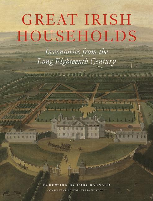 Vorderes Coverbild Great Irish Households
