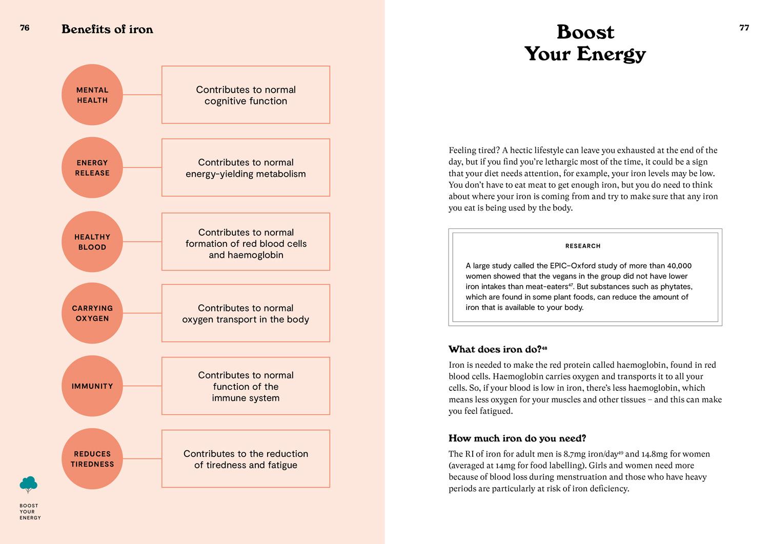 Beispielinhalt (Bild) Vegan Savvy