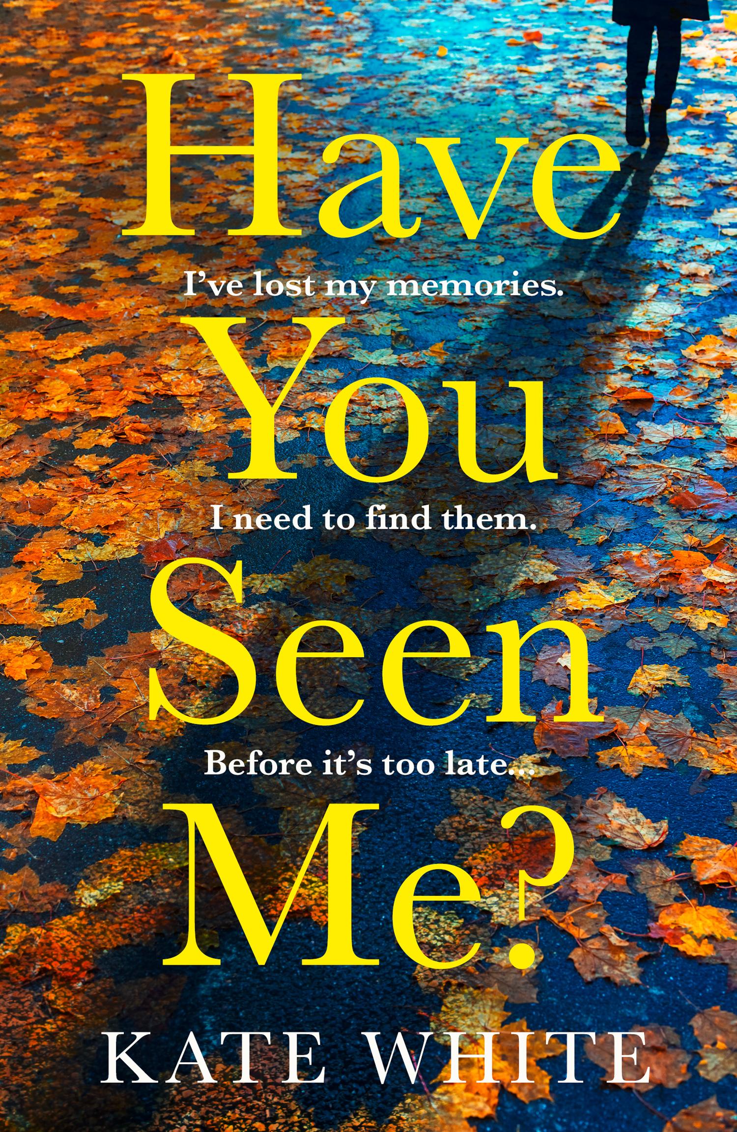 Vorderes Coverbild Have You Seen Me?