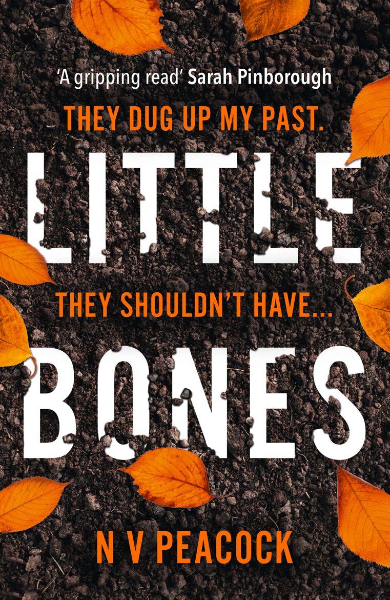 Vorderes Coverbild Little Bones
