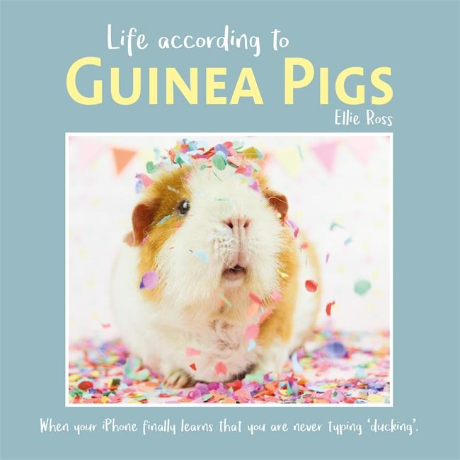 Vorderes Coverbild Life According to Guinea Pigs