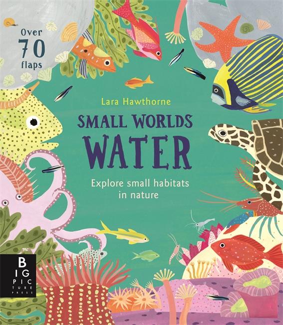 Vorderes Coverbild Small Worlds: Water