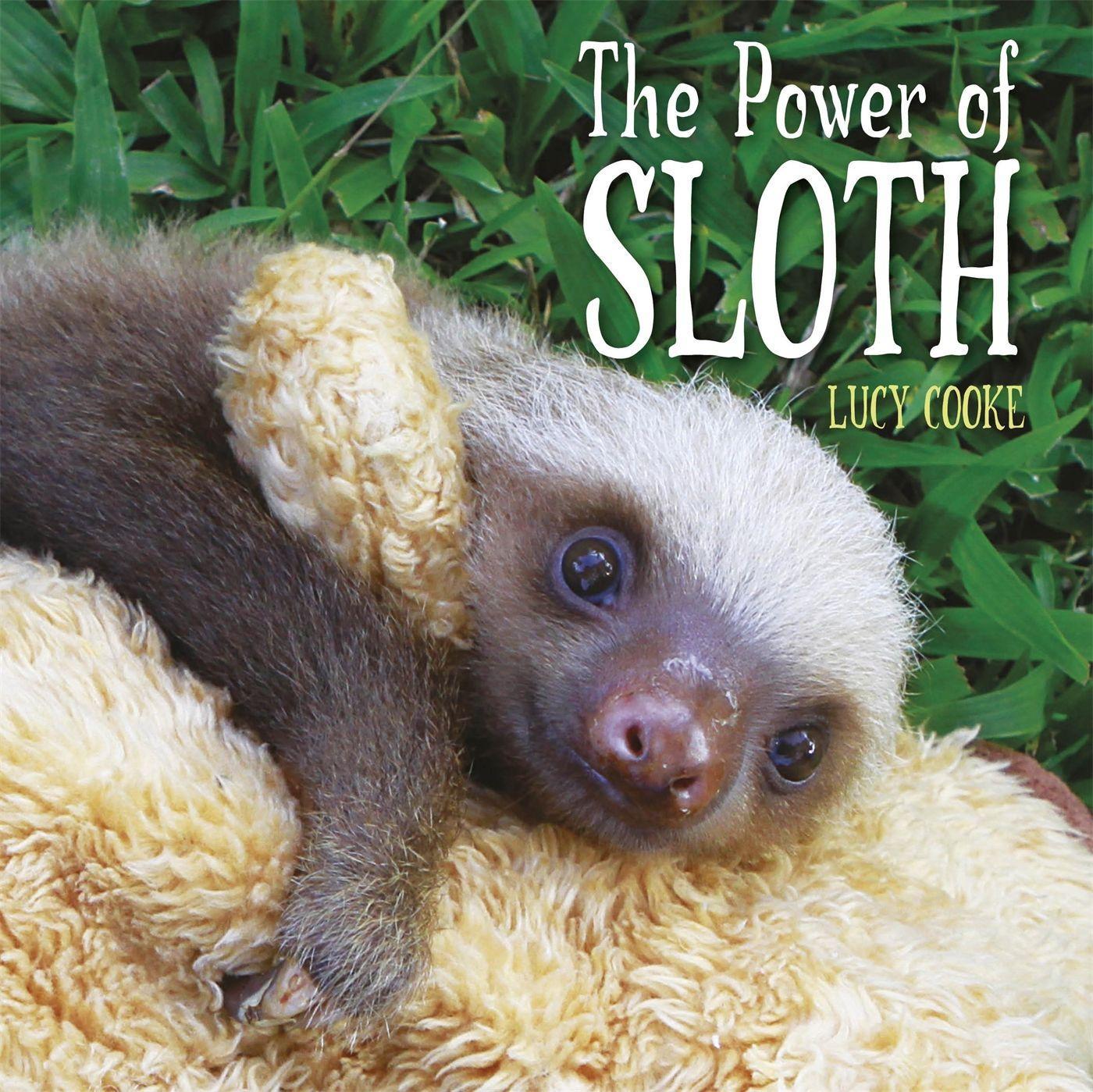 Vorderes Coverbild The Power of Sloth
