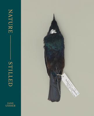 Vorderes Coverbild Nature -- Stilled